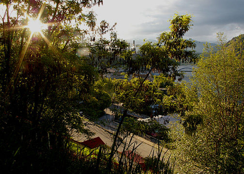 The New Bridge and Trees